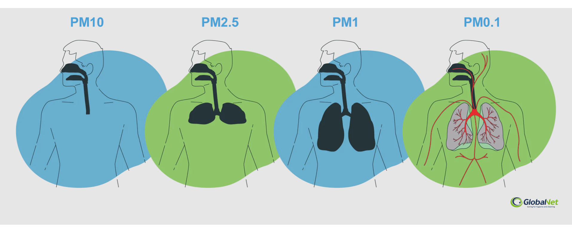 PM niveaux santé purification air