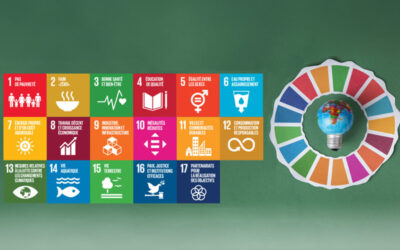 Inzet voor duurzaamheid: hoe Global Net UNITAR-certificering behaalt